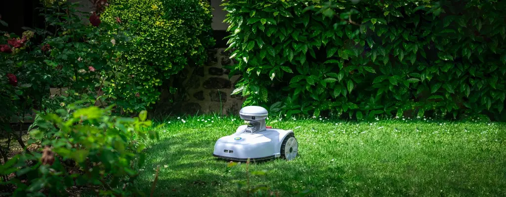 lawn mower